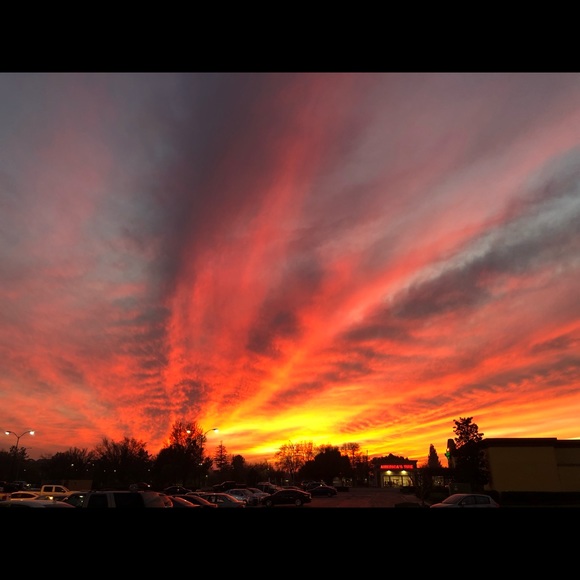 Meet your Posher, Heidi - Picture 1 of 1